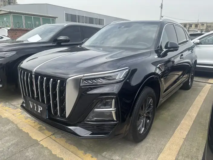 Hongqi HS5 2023 Model 2.0T Flag Xiang Pro Edition – фото 1