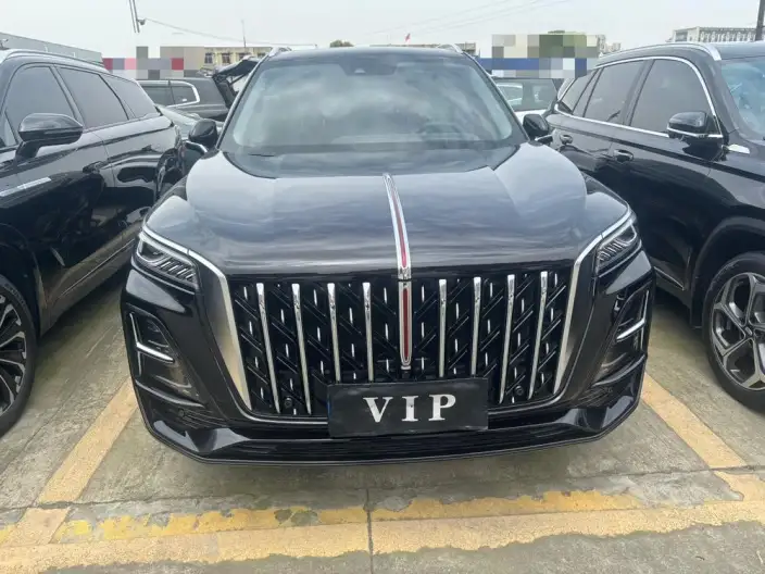 Hongqi HS5 2023 Model 2.0T Flag Xiang Pro Edition – фото 2