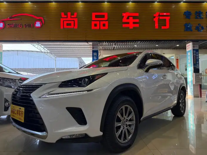 Lexus NX 2020 Model 300h Qian Drive Fengshang Edition China VI – фото 1