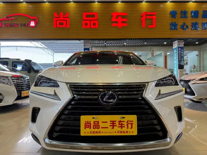 Lexus NX 2020 Model 300h Qian Drive Fengshang Edition China VI – фото 2