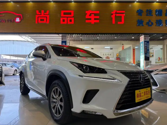 Lexus NX 2020 Model 300h Qian Drive Fengshang Edition China VI – фото 3
