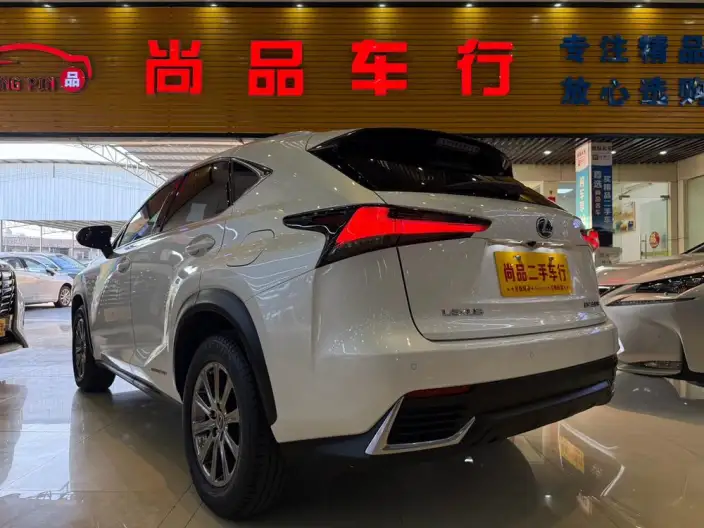 Lexus NX 2020 Model 300h Qian Drive Fengshang Edition China VI – фото 4