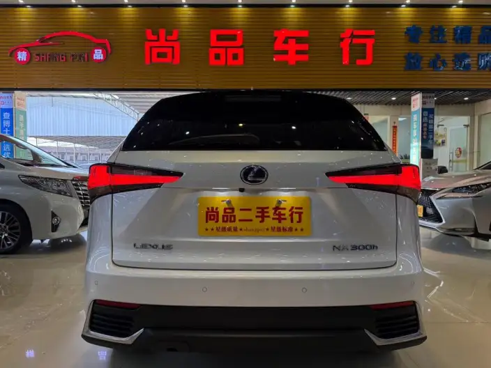 Lexus NX 2020 Model 300h Qian Drive Fengshang Edition China VI – фото 5