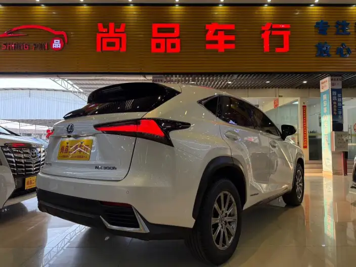 Lexus NX 2020 Model 300h Qian Drive Fengshang Edition China VI – фото 6