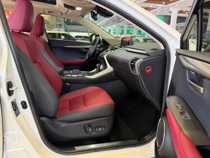 Lexus NX 2020 Model 300h Qian Drive Fengshang Edition China VI – фото 9