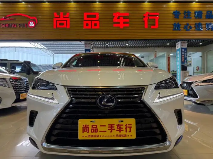 Lexus NX 2020 Model 300h Qian Drive Fengshang Edition China VI – фото 10
