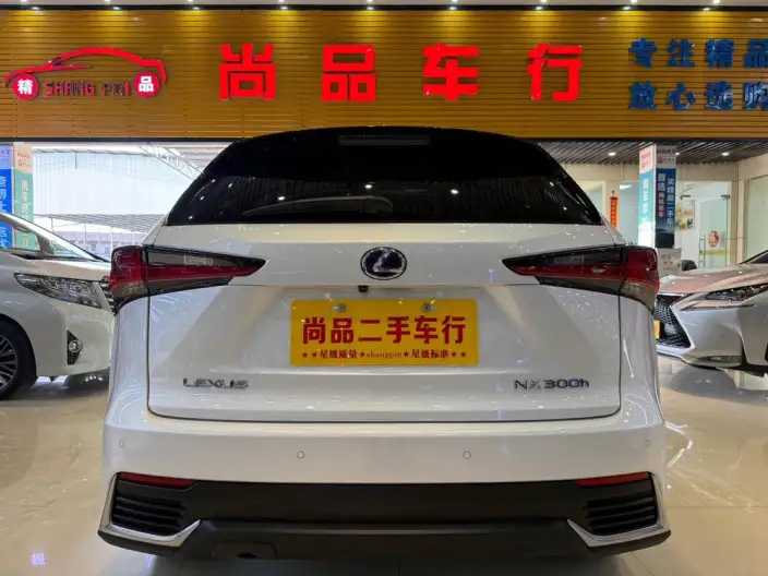 Lexus NX 2020 Model 300h Qian Drive Fengshang Edition China VI – фото 13