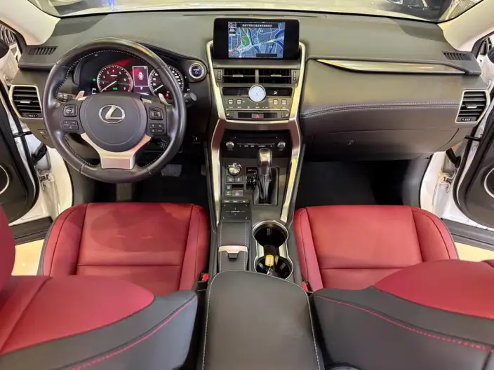 Lexus NX 2020 Model 300h Qian Drive Fengshang Edition China VI – фото 14