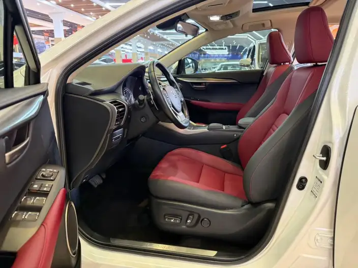 Lexus NX 2020 Model 300h Qian Drive Fengshang Edition China VI – фото 15