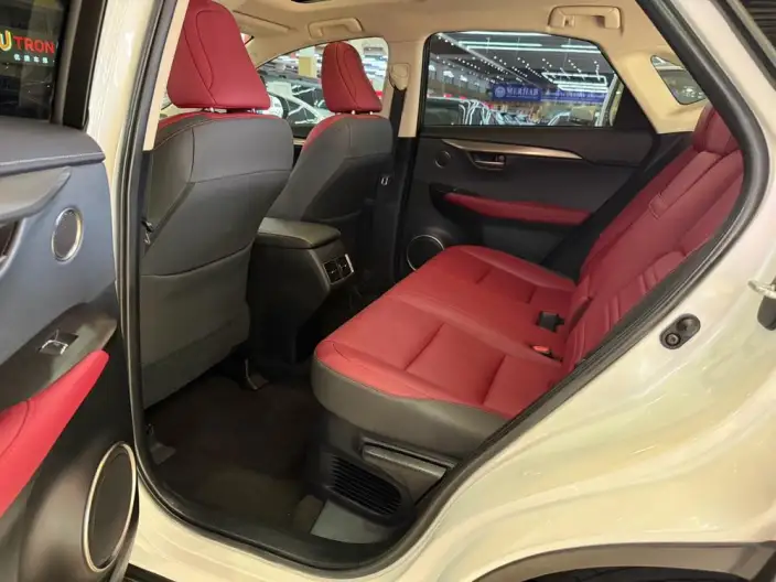 Lexus NX 2020 Model 300h Qian Drive Fengshang Edition China VI – фото 16