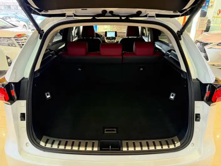 Lexus NX 2020 Model 300h Qian Drive Fengshang Edition China VI – фото 18