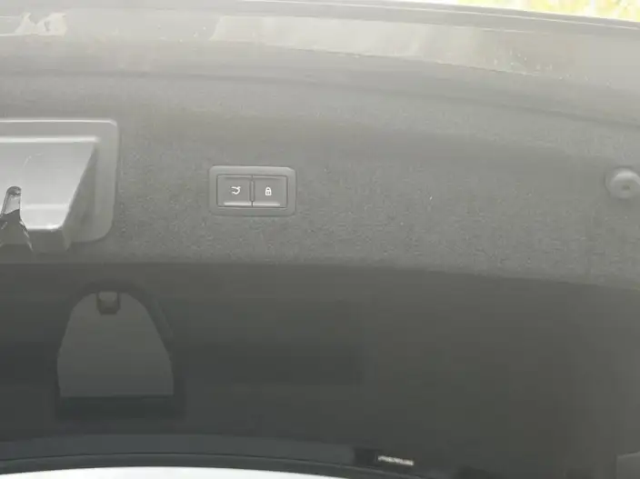 HONGQI H9 2022 Model 2.0T Smart Flag Enjoy Edition – фото 10