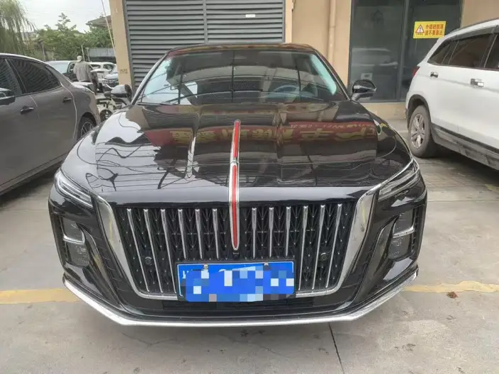 Hongqi H5 2025 Model 2.0T Automatic Flag Enjoy Edition – фото 2
