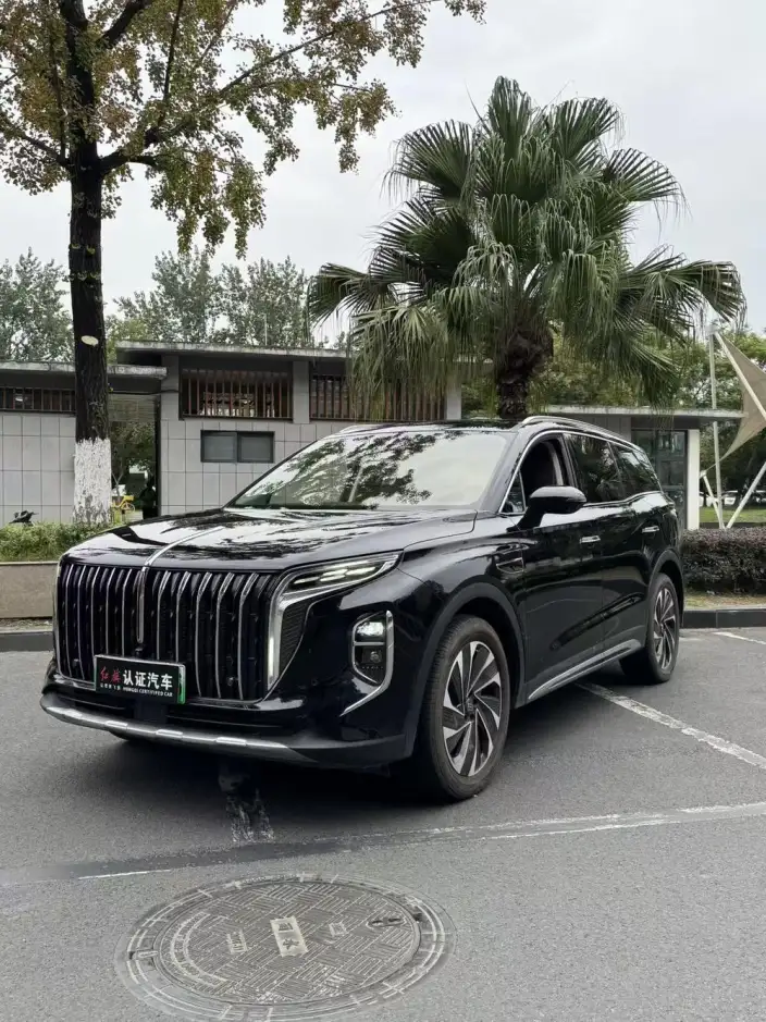 Hongqi HS7 PHEV 2024 Model 2.0T 4WD Flag Enjoy Edition 6 seat – фото 1