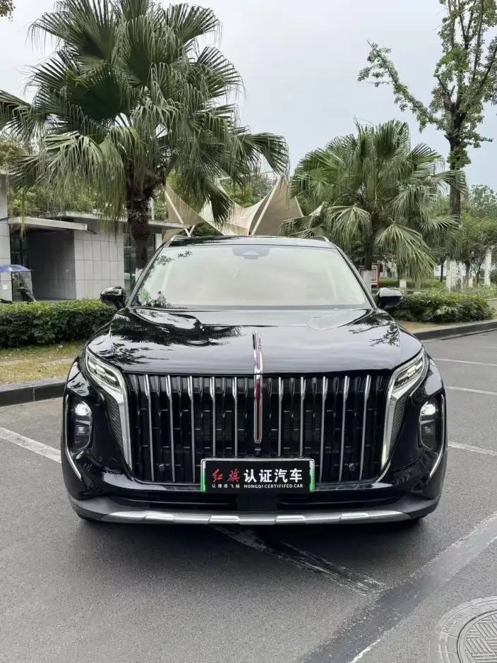 Hongqi HS7 PHEV 2024 Model 2.0T 4WD Flag Enjoy Edition 6 seat – фото 2