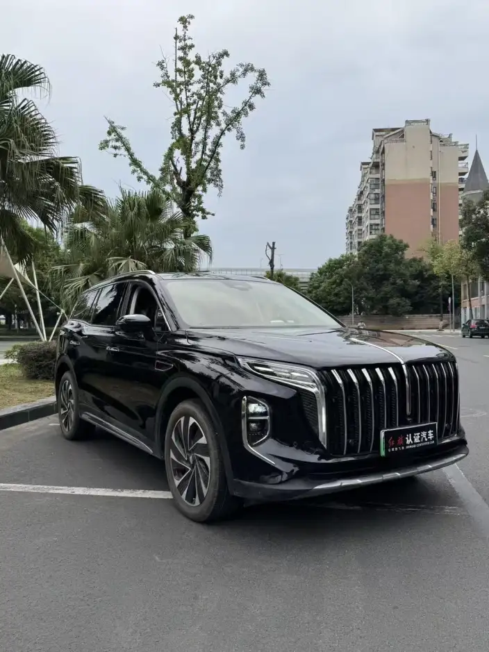 Hongqi HS7 PHEV 2024 Model 2.0T 4WD Flag Enjoy Edition 6 seat – фото 3