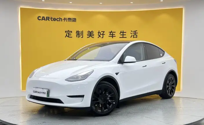 Model Y 2022 Model Long Battery Life Pro All-wheel drive version – фото 1