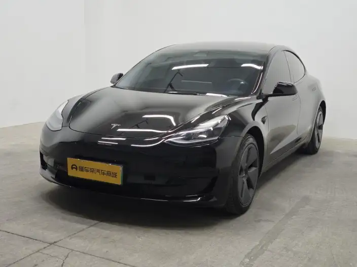 Model 3 2022 Model Rear-wheel drive version – фото 1