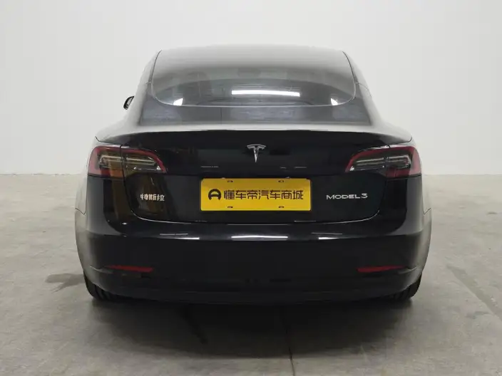 Model 3 2022 Model Rear-wheel drive version – фото 6
