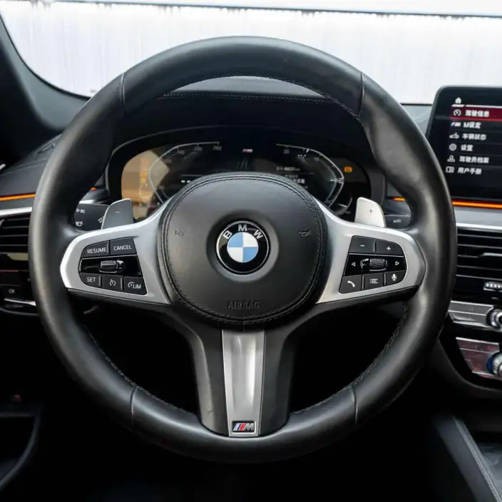 BMW 5 Series 2021 Model 530Li Exclusive Model M Sports Set – фото 20