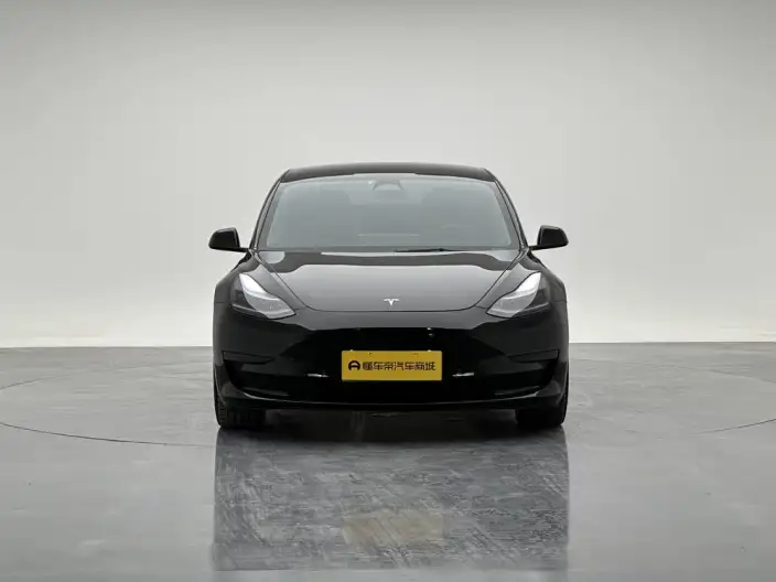 Model 3 2022 Model Rear-wheel drive version – фото 2
