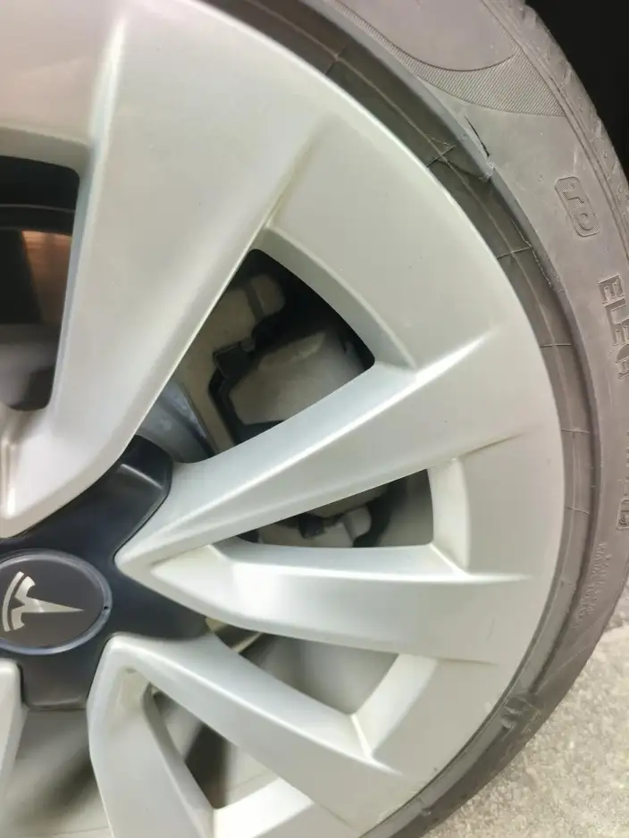 Model 3 2022 Model Rear-wheel drive version – фото 24