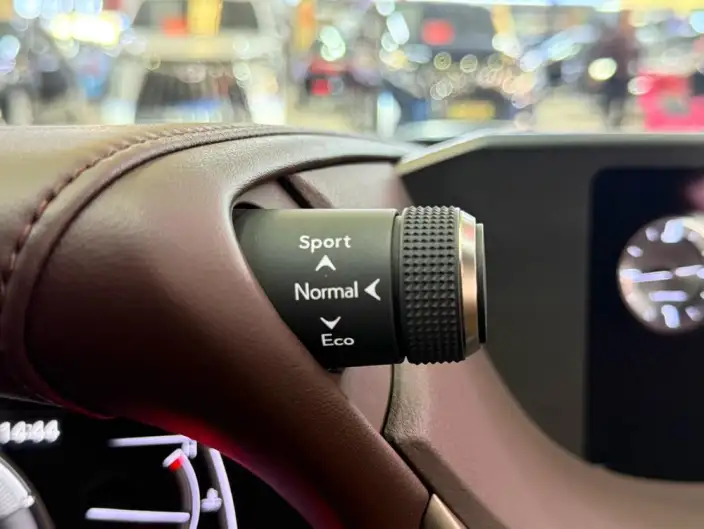 Lexus ES 2020 Model 300h Superior Edition China VI – фото 6