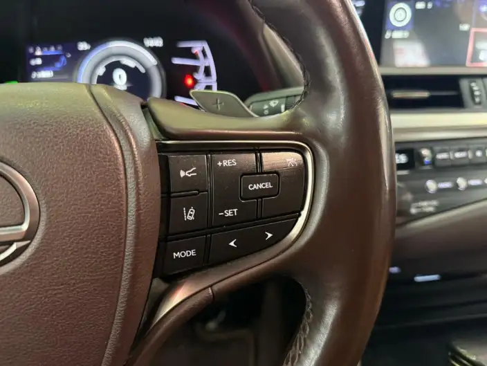 Lexus ES 2020 Model 300h Superior Edition China VI – фото 10