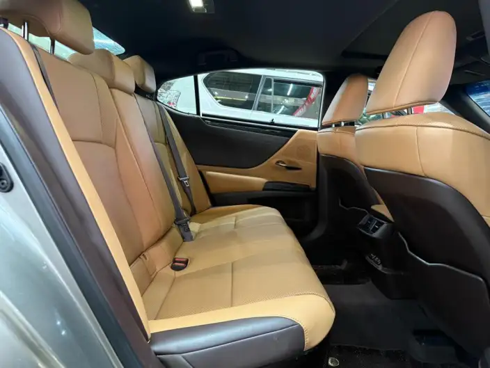 Lexus ES 2020 Model 300h Superior Edition China VI – фото 28