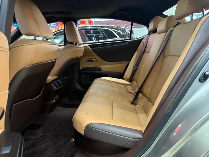 Lexus ES 2020 Model 300h Superior Edition China VI – фото 29