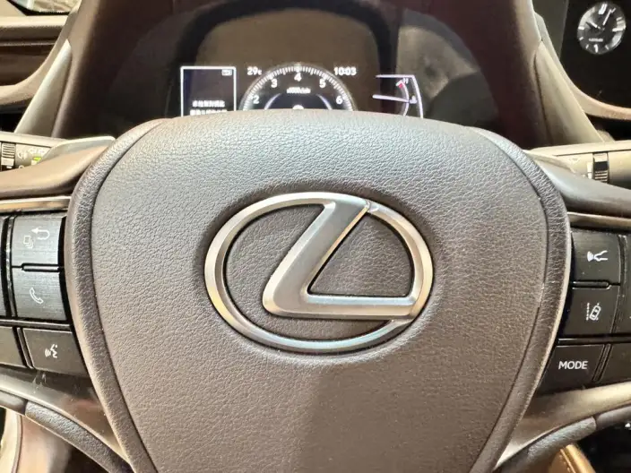 Lexus ES 2020 Model 200 Deluxe Edition China VI – фото 11