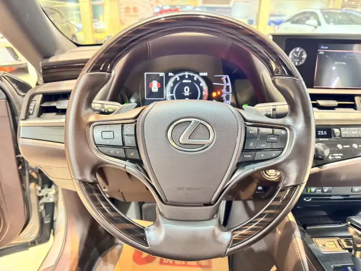 Lexus ES 2020 Model 200 Deluxe Edition China VI – фото 18