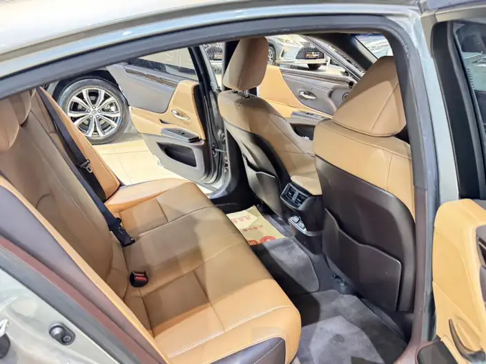 Lexus ES 2020 Model 200 Deluxe Edition China VI – фото 28