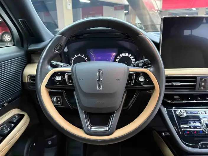 Lincoln Corsair 2020 Model 2.0T 2WD Zunya Edition – фото 30