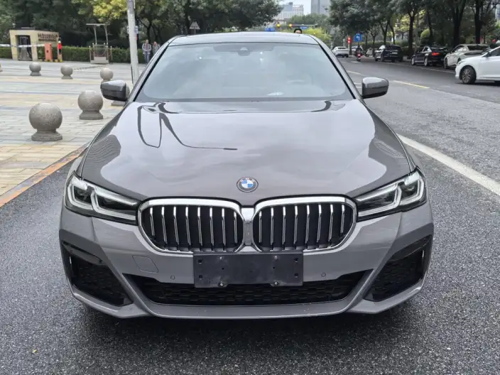 BMW 5 Series Imported 2021 Model 525i M Sports Set – фото 2