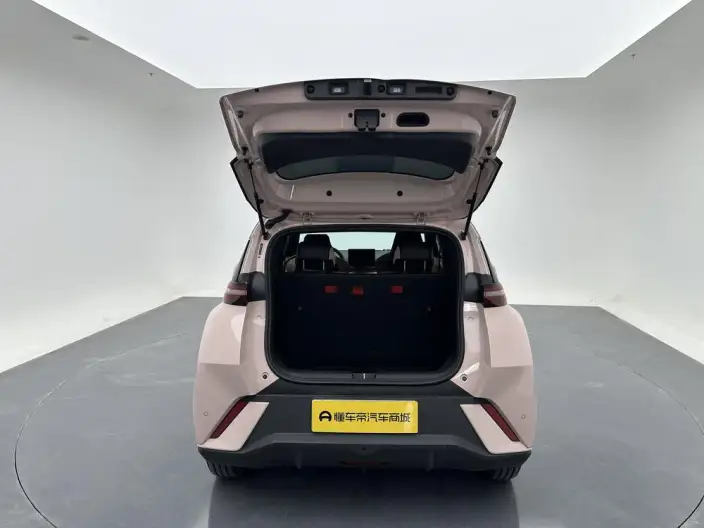 BYD Seagull 2023 Model Vitality Edition – фото 20