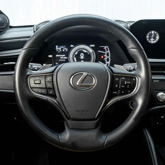 Lexus ES 2021 Model 300h Superior Edition – фото 21