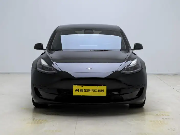 Model 3 2022 Model Rear-wheel drive version – фото 2
