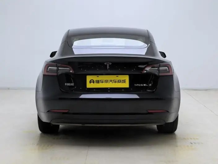 Model 3 2022 Model Rear-wheel drive version – фото 6