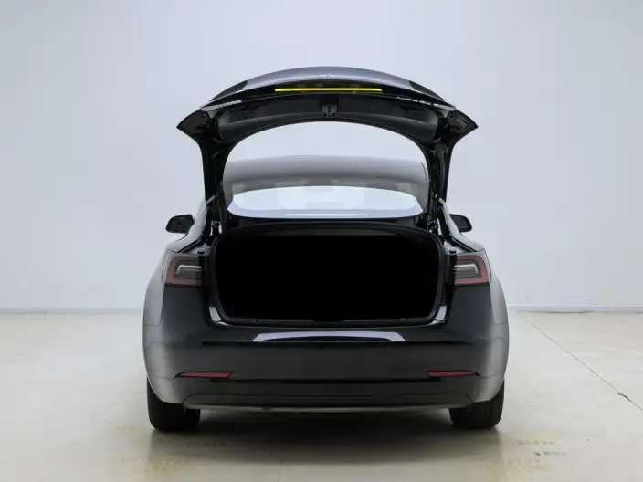 Model 3 2022 Model Rear-wheel drive version – фото 20