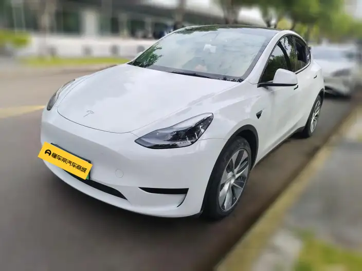 Model Y 2022 Model Facelift Rear-wheel drive version – фото 1