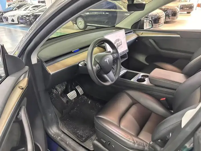 Model Y 2021 Model Performance High performance All-wheel drive version – фото 7