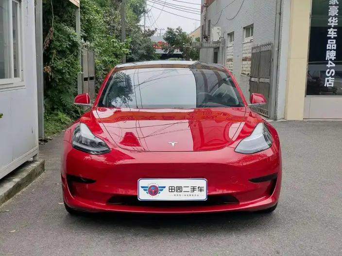 Model 3 2020 Model Standard Battery Life Rear Drive L Class Edition – фото 2