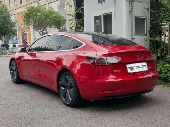 Model 3 2020 Model Standard Battery Life Rear Drive L Class Edition – фото 4
