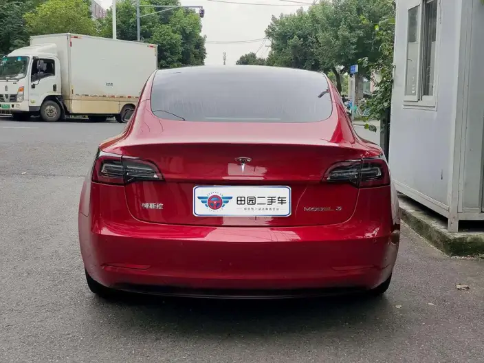 Model 3 2020 Model Standard Battery Life Rear Drive L Class Edition – фото 5