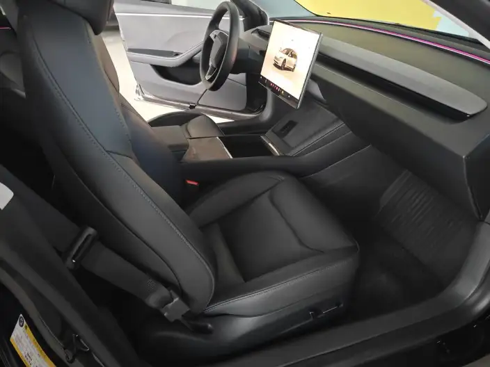 Model 3 2023 Model Rear-wheel drive version – фото 23