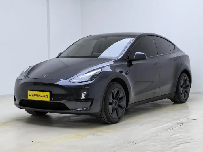 Model Y 2024 Model Rear-wheel drive version – фото 1