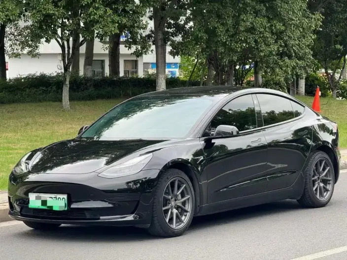 Model 3 2021 Model Standard Battery Life Rear Drive L Class Edition – фото 1