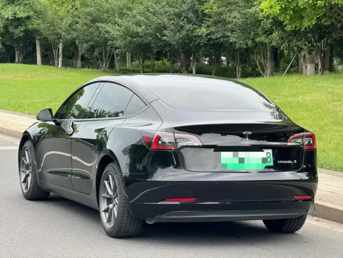 Model 3 2021 Model Standard Battery Life Rear Drive L Class Edition – фото 4