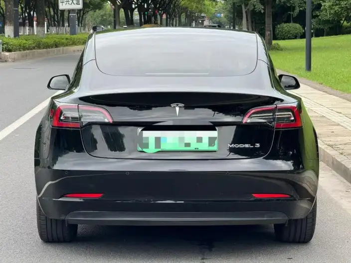 Model 3 2021 Model Standard Battery Life Rear Drive L Class Edition – фото 5